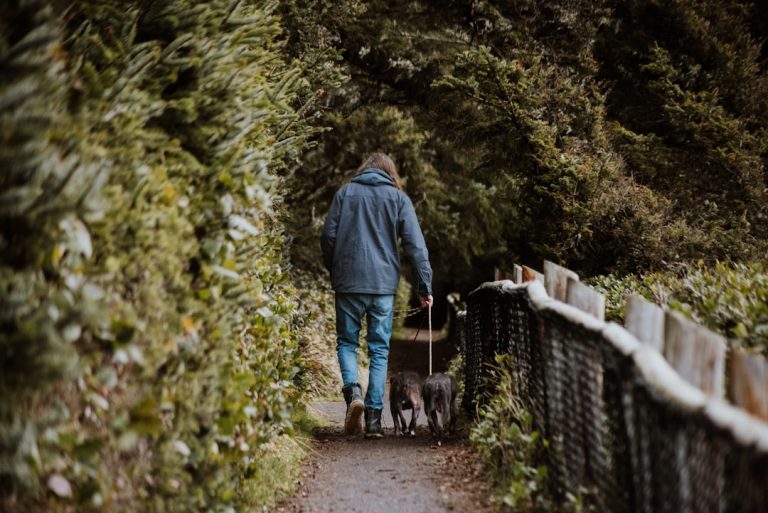 The Art of Slow Travel: Embracing the Journey Over the Destination