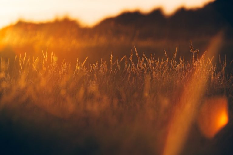 Sustainable Wanderlust: Eco-Friendly Outdoor Travel Tips